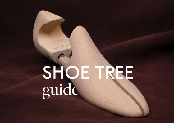 The shoe trees guide